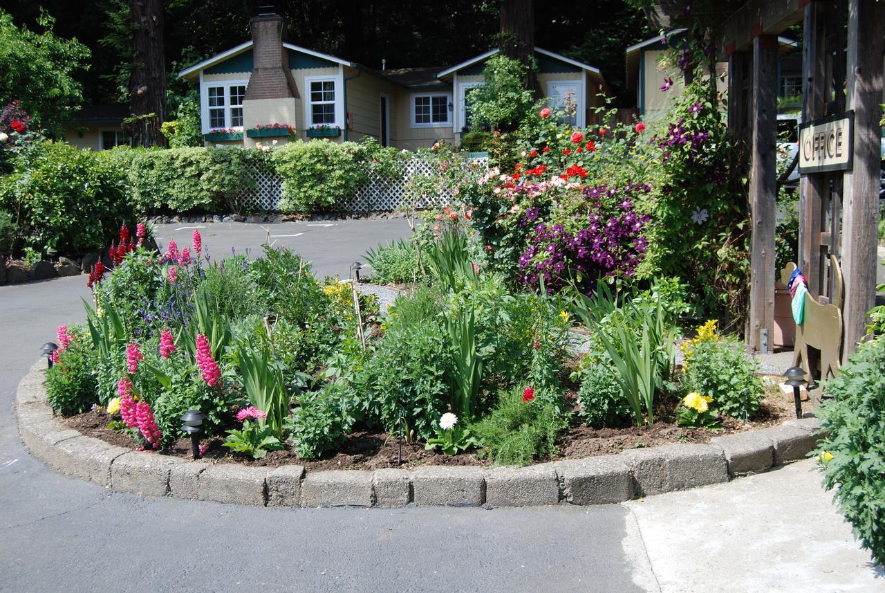 Fern Grove Cottages Guerneville Dış mekan fotoğraf