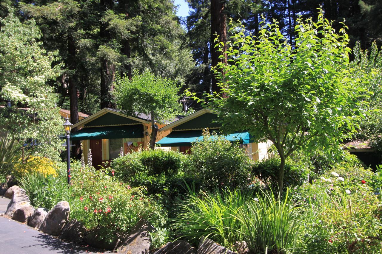 Fern Grove Cottages Guerneville Dış mekan fotoğraf