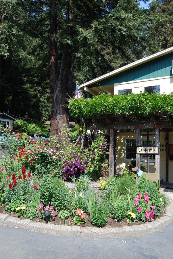 Fern Grove Cottages Guerneville Dış mekan fotoğraf
