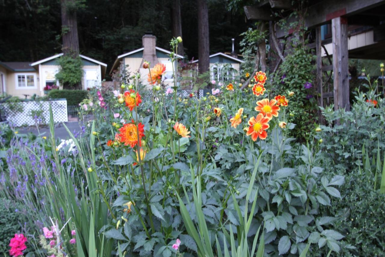Fern Grove Cottages Guerneville Dış mekan fotoğraf